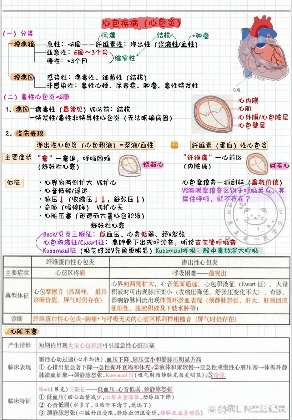 心包疾病思维导图图片