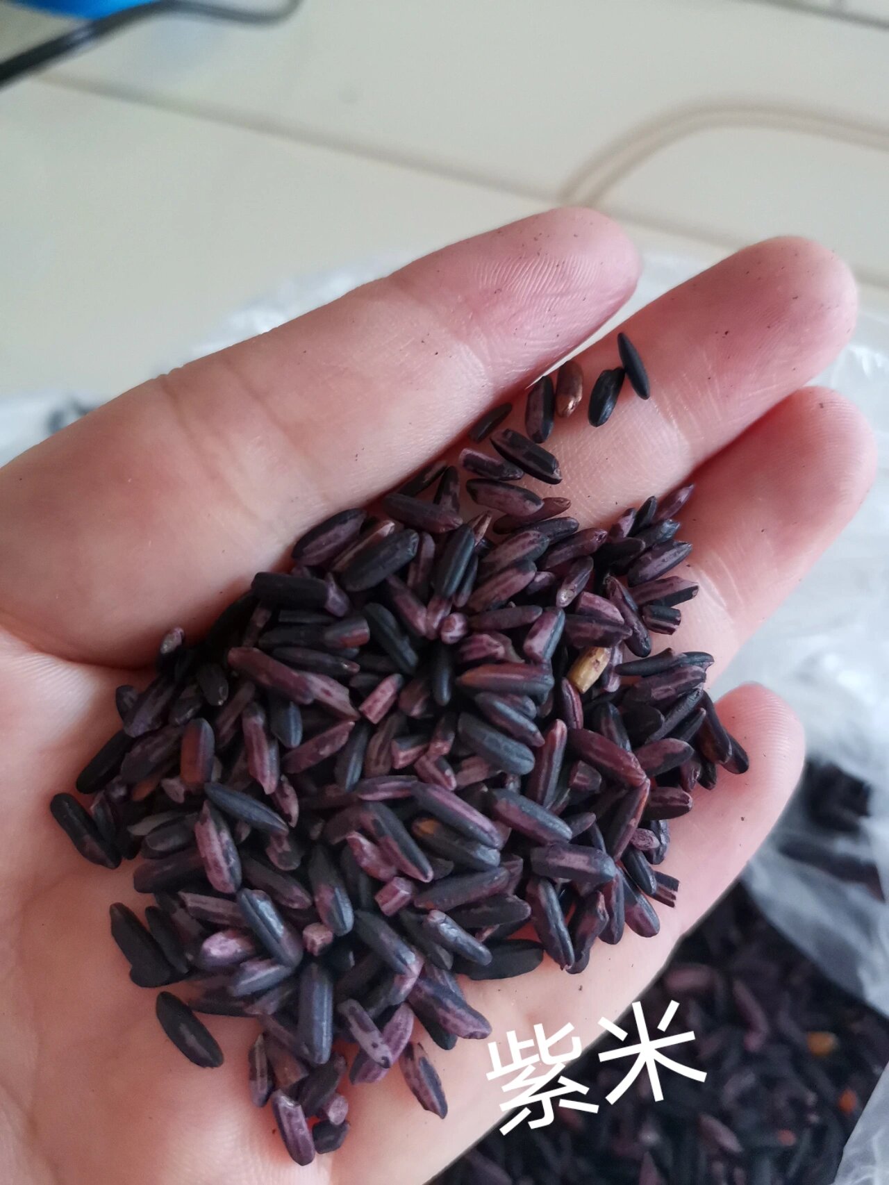 如何区分紫米,血糯米,黑米