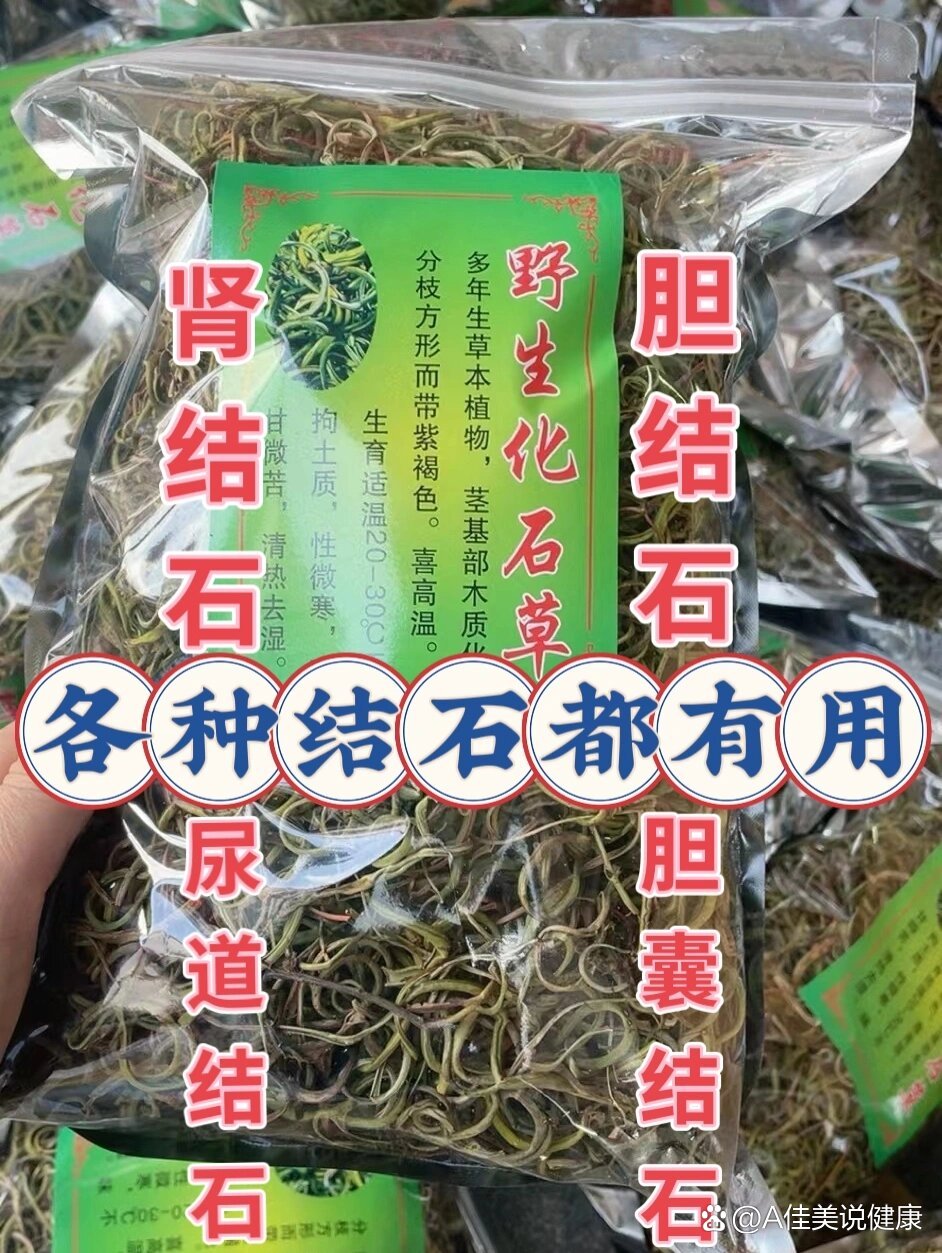 苦胆的药用价值图片