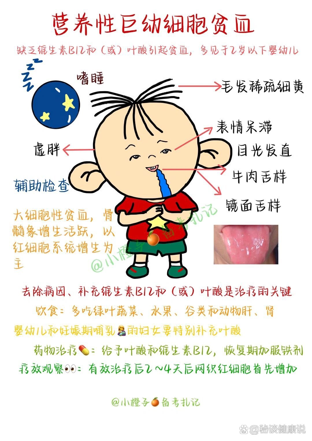 98护师笔记|内科护理学|营养性巨幼细胞贫血