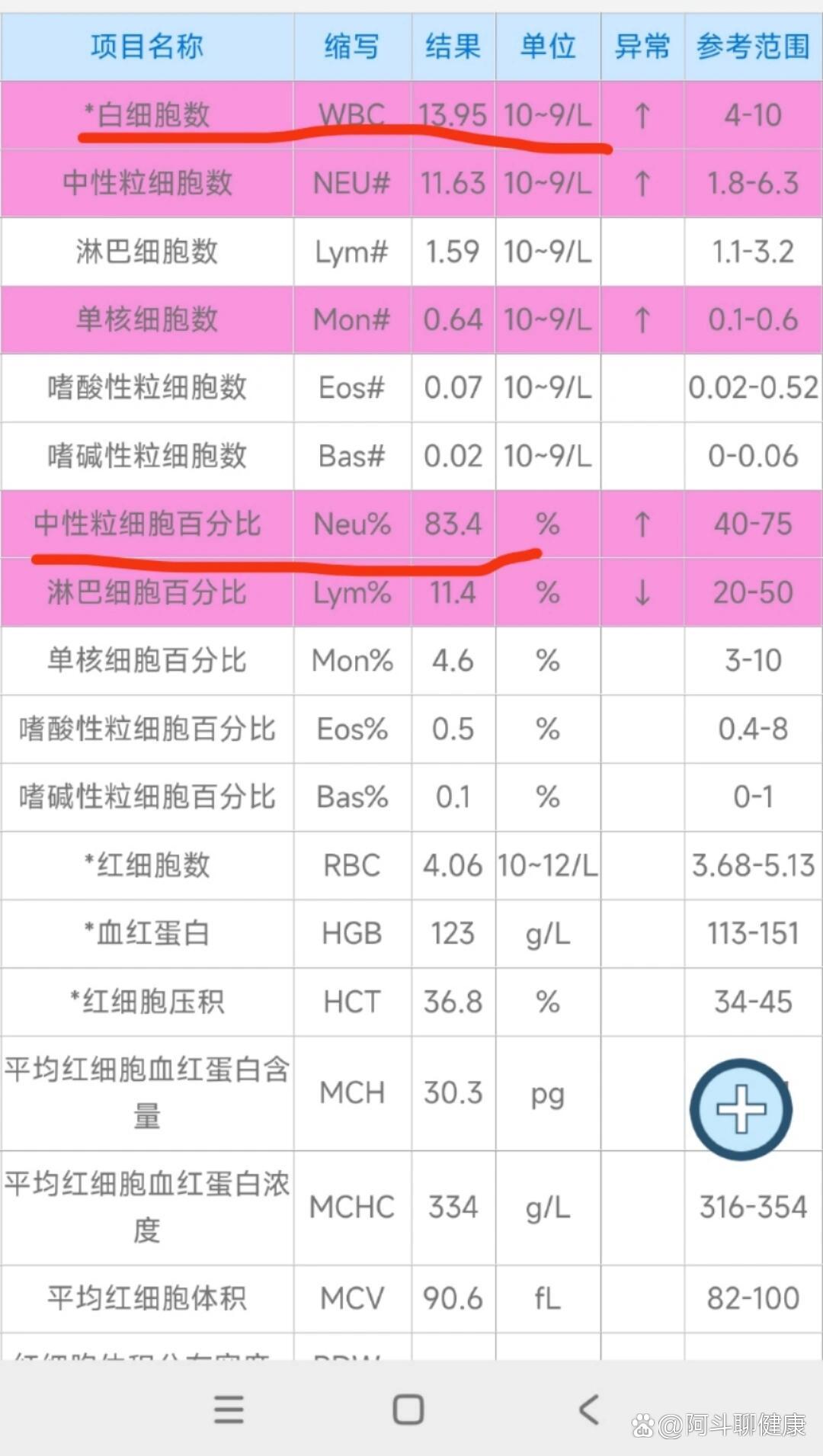 中性粒细胞百分比图片