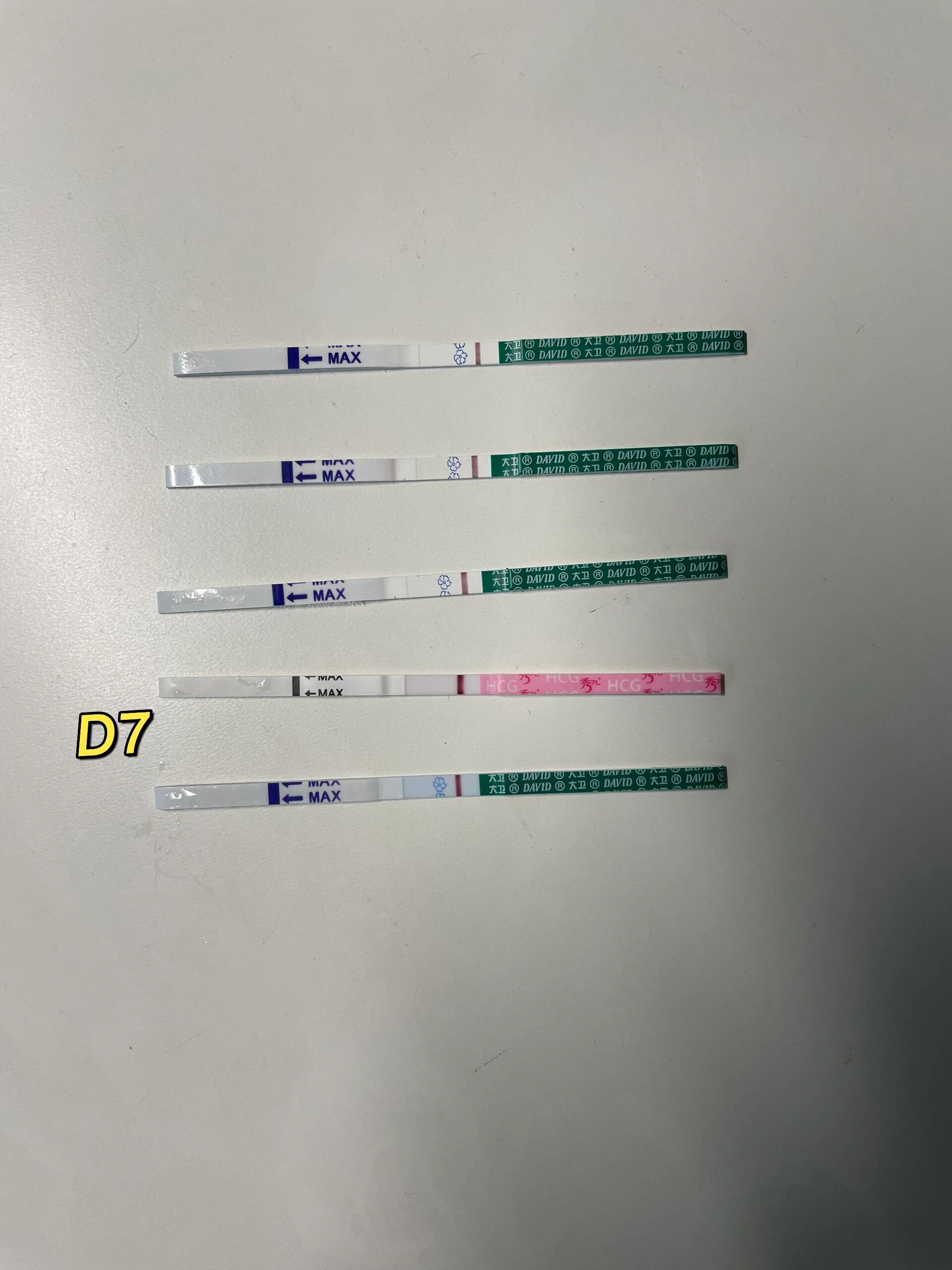 移植囊胚后0一14天的症状_试管移植后囊胚1至14天变化