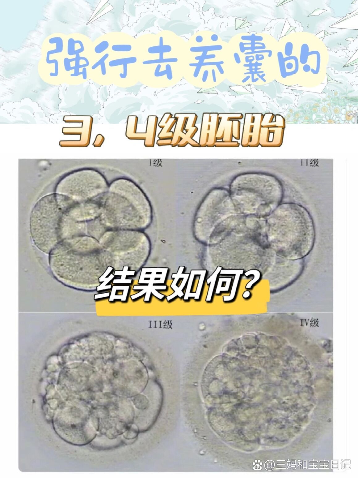 胚胎移植四个生理学基础(胚胎移植的四个生理学基础)