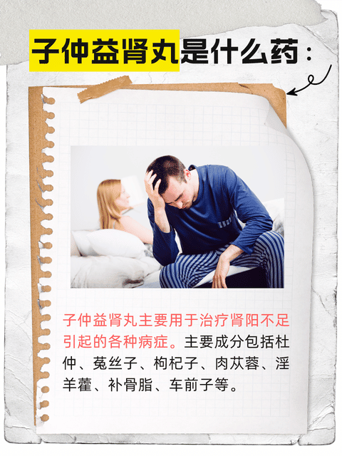 子仲益肾丸:揭秘中医的肾宝!