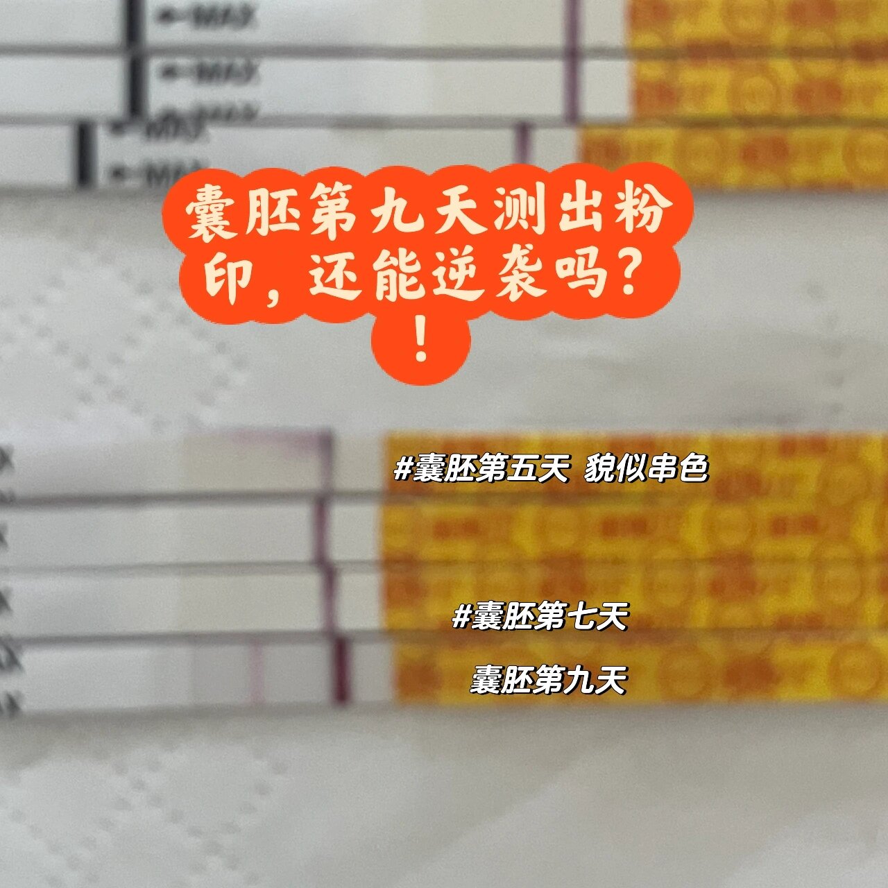 d6囊胚移植成功率高吗(D6的囊胚几乎很难成功吗)