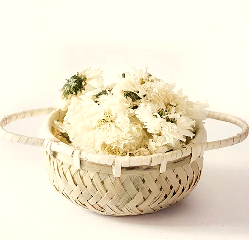 🌼白菊花与胎菊：差异全解析🌼