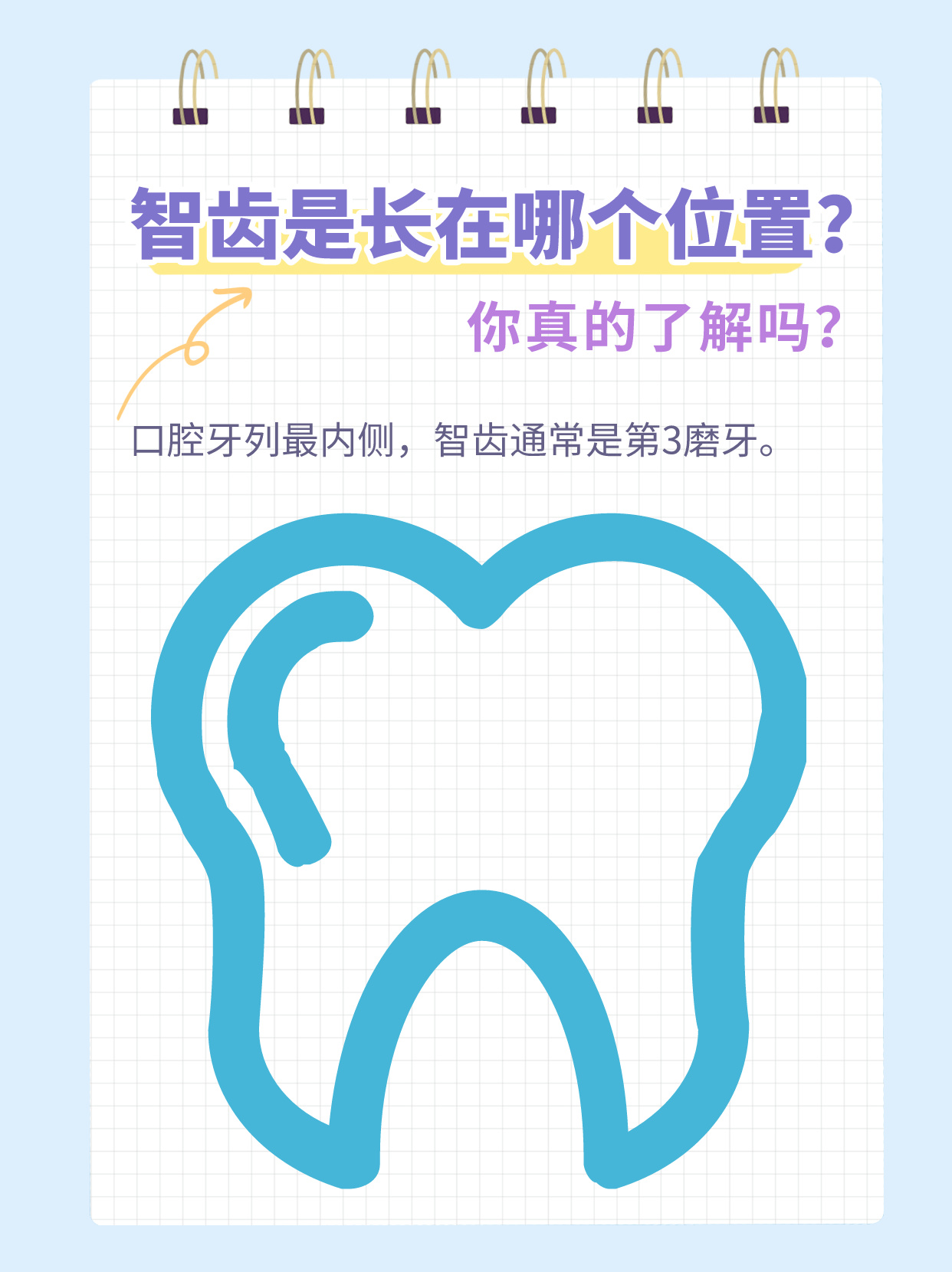 智齿是长在哪个位置?你真的了解吗?