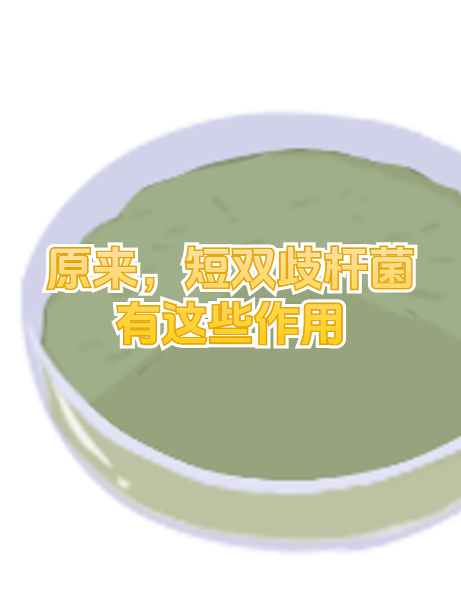 原来,短双歧杆菌有这些作用