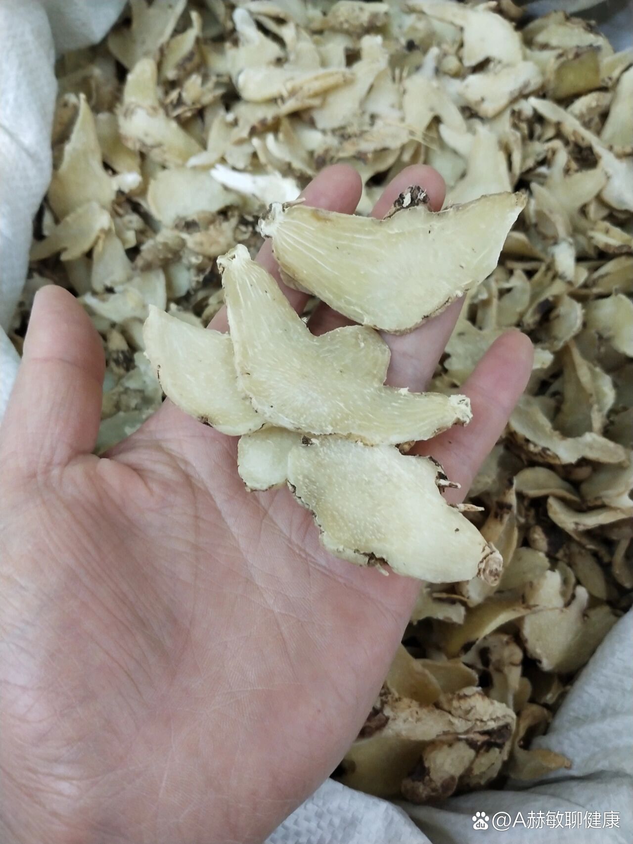 白芨是一味中药名,每年9到10月份,当白芨