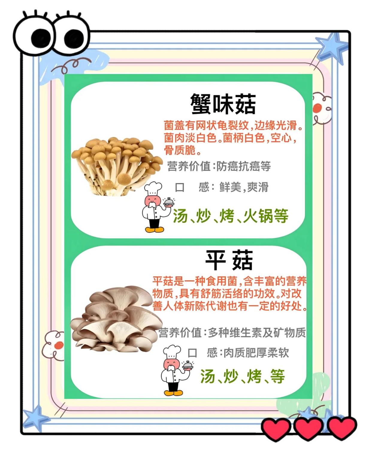 25种常见菌菇大比拼：营养与烹饪全解析