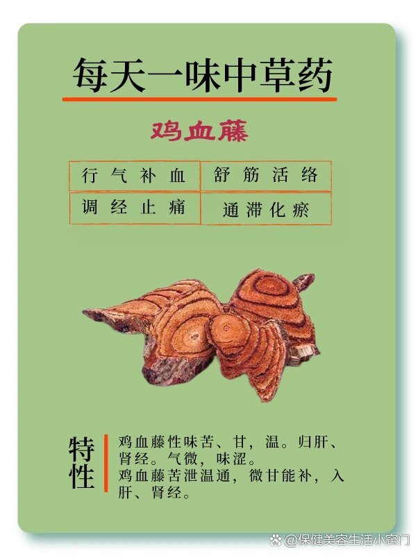 每天认识一味中草药——鸡血藤