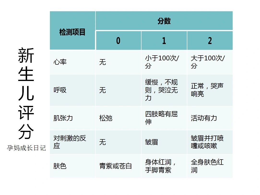 新生儿评分/阿氏评分/apgar评分