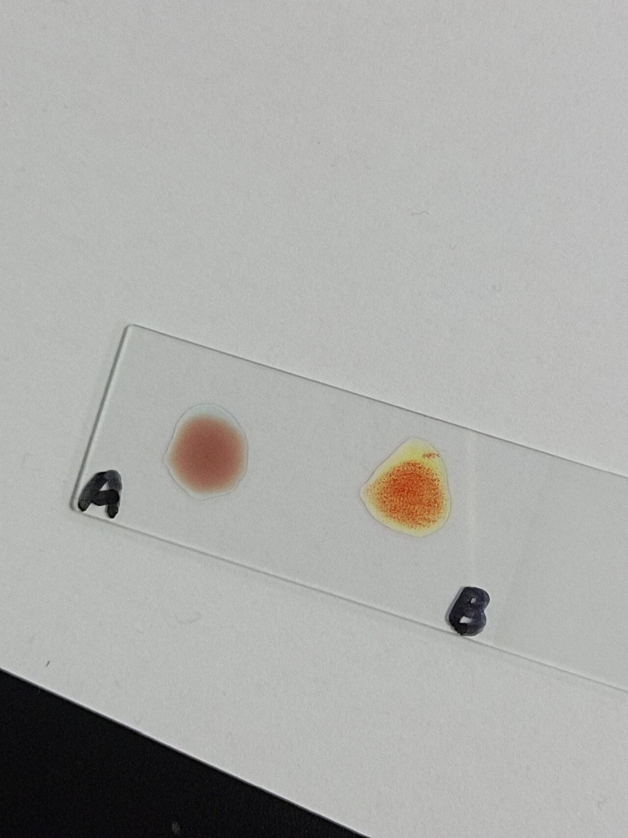 2,掌握abo血型鉴定的原理,学习鉴定血型的方法