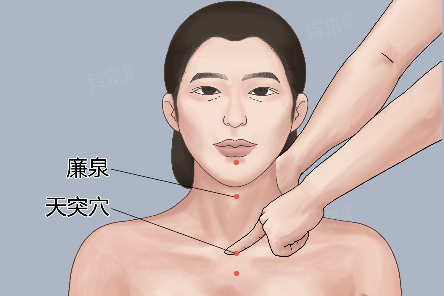 天突穴位