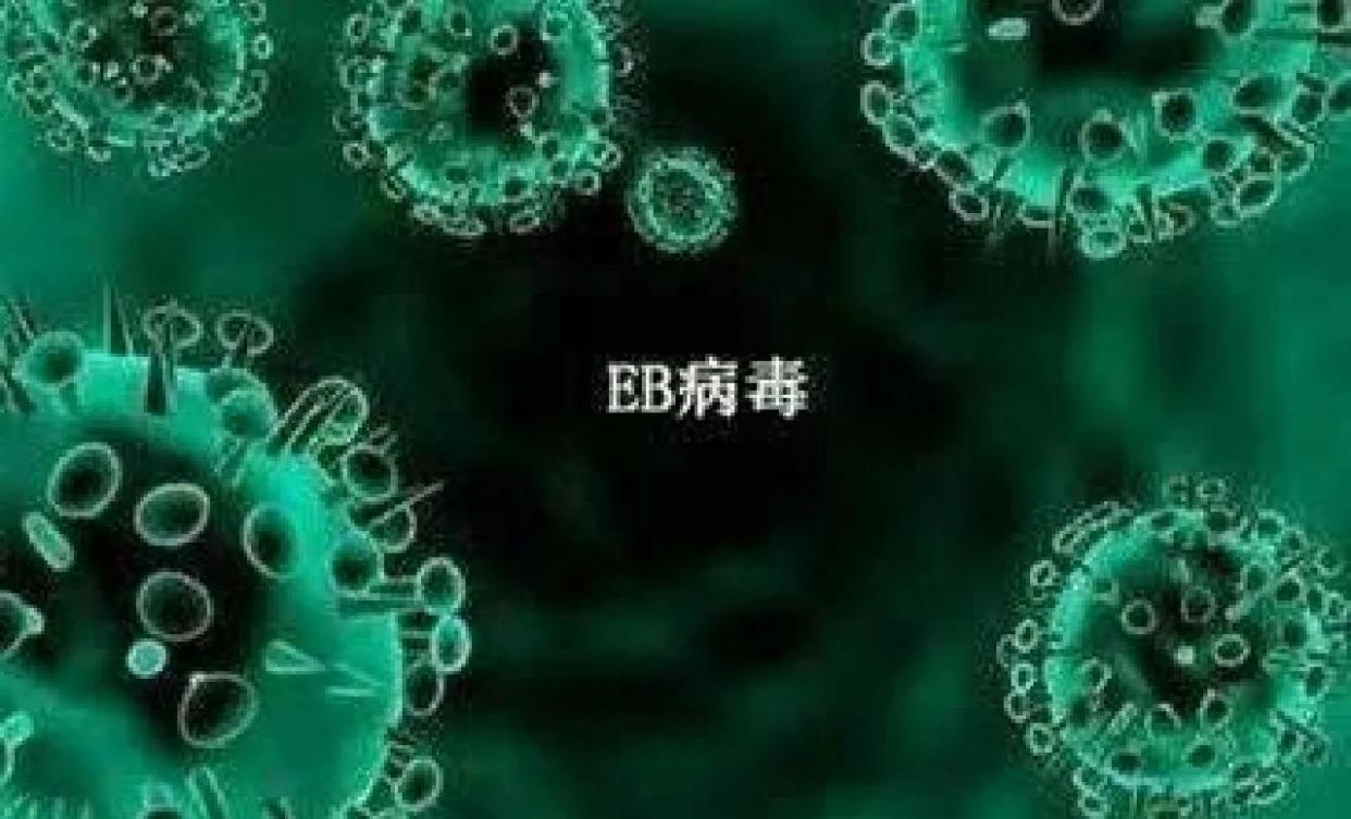 EB病毒慢性感染：你了解多少？