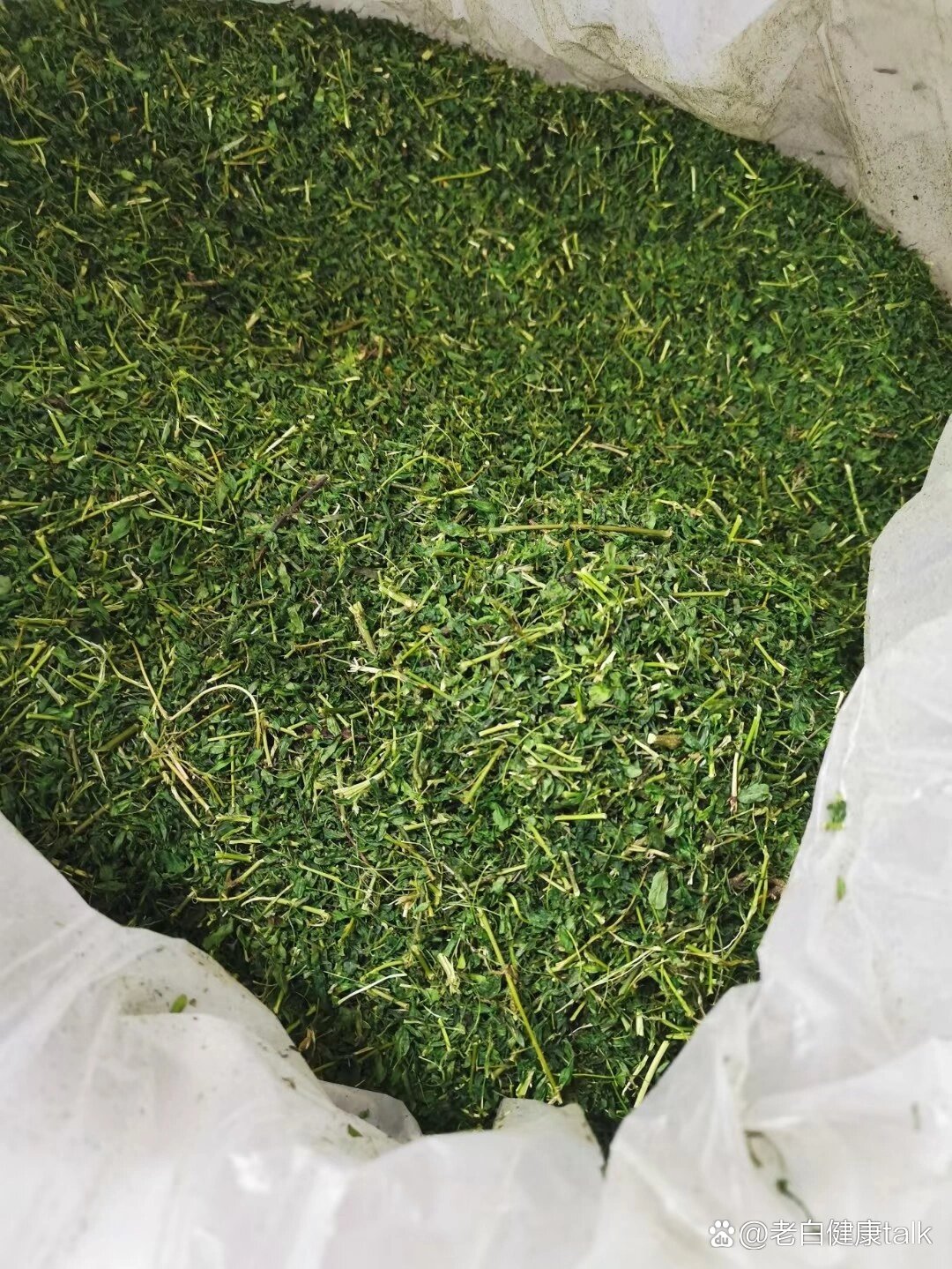 鸡骨草茶也叫护肝茶