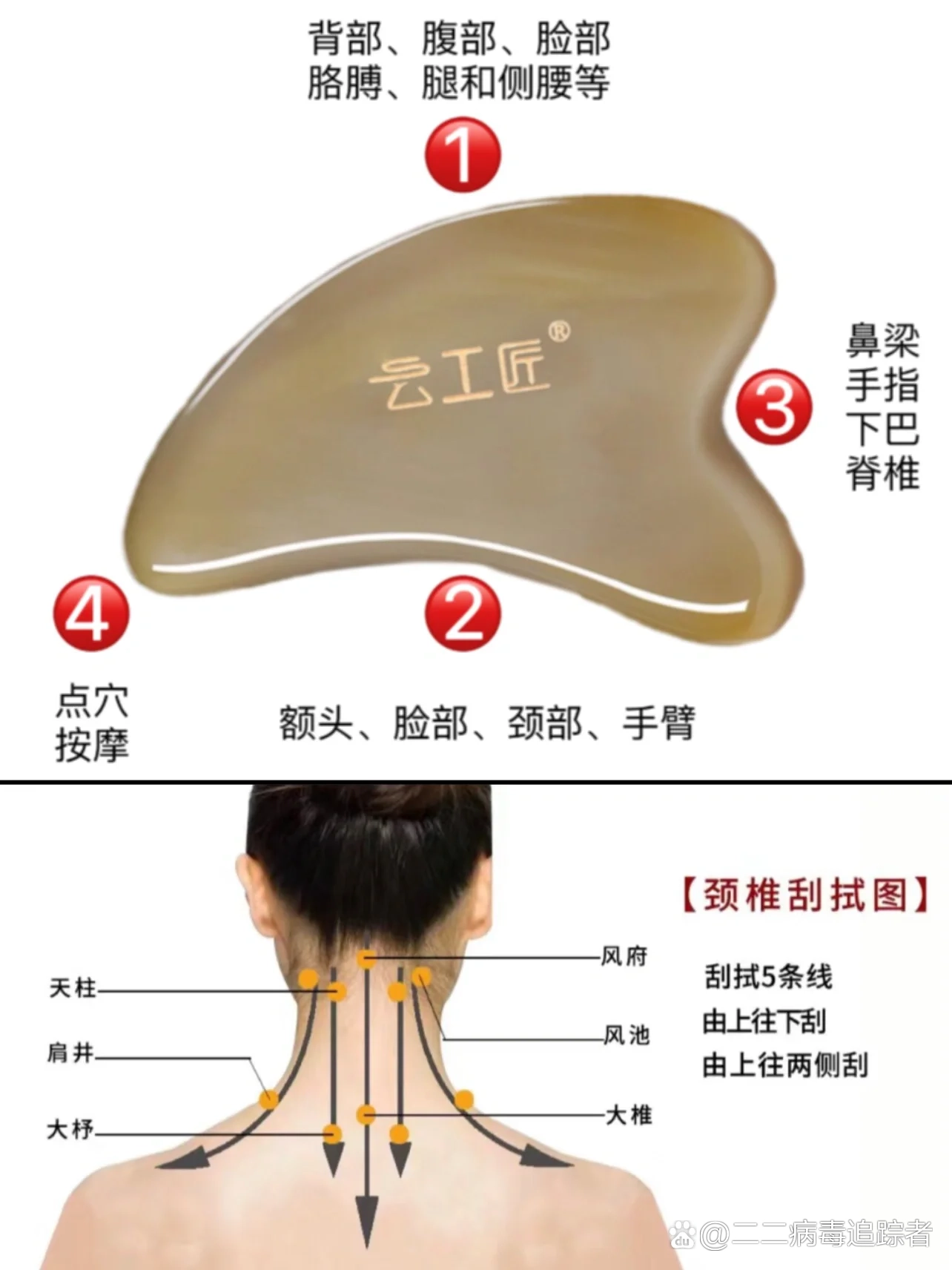 颈椎疼刮痧刮哪里图解图片