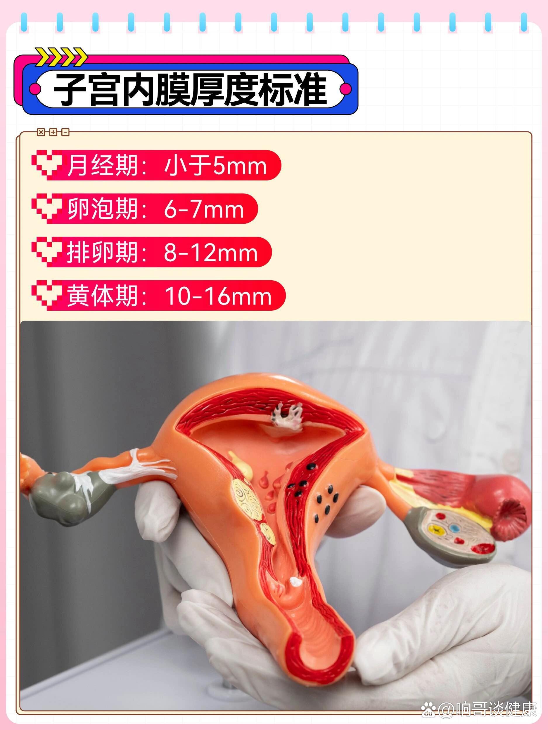 子宫内内膜厚度标准73子宫内膜薄体温曲线图