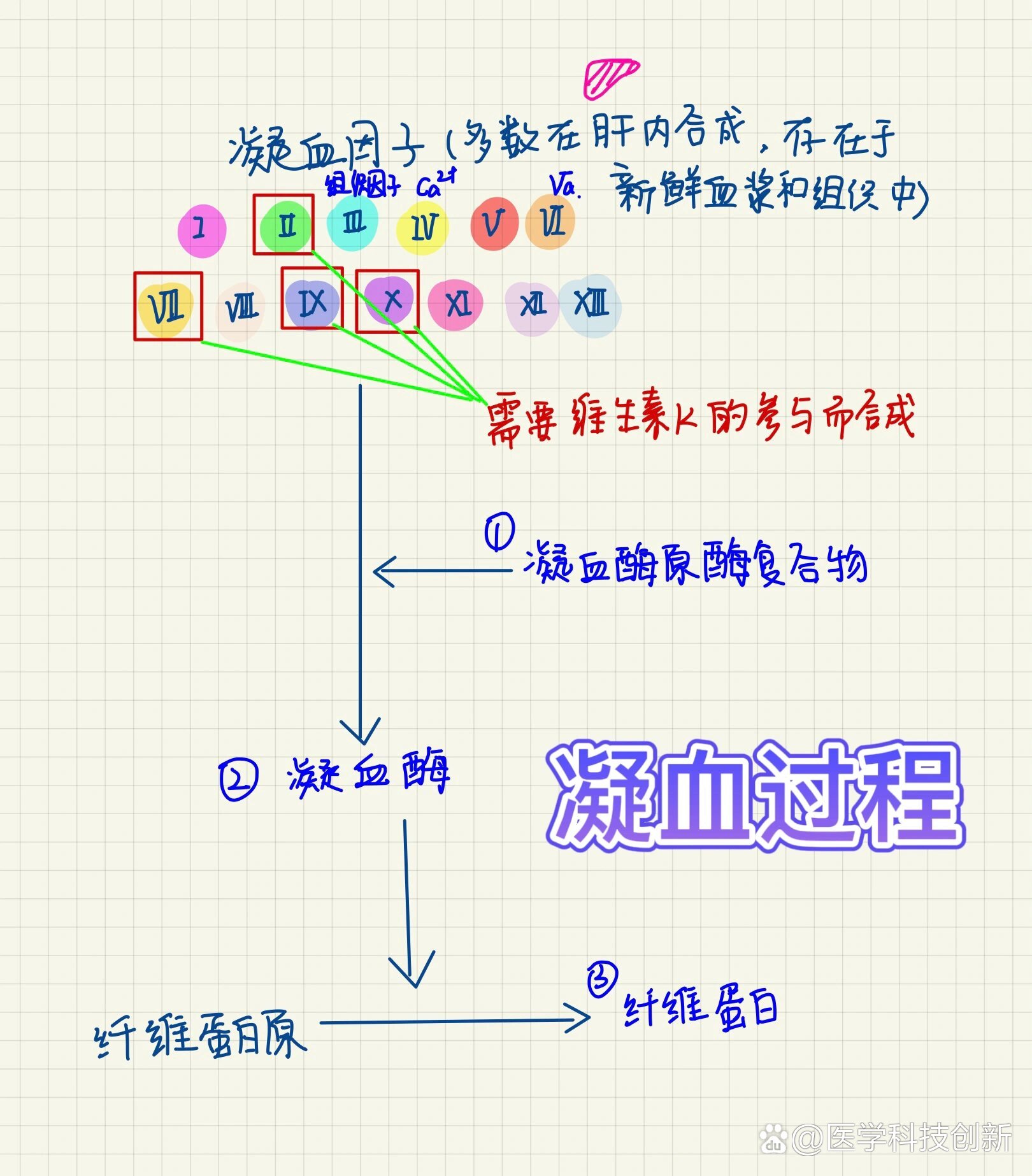 只有医学上才能看懂的图