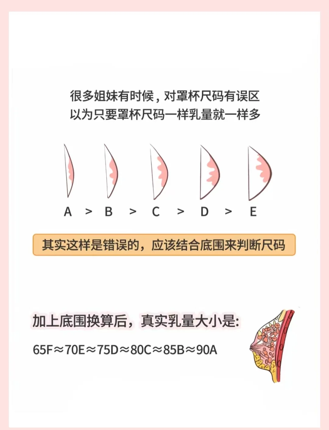 同为C杯，为什么胸部大小不一样？