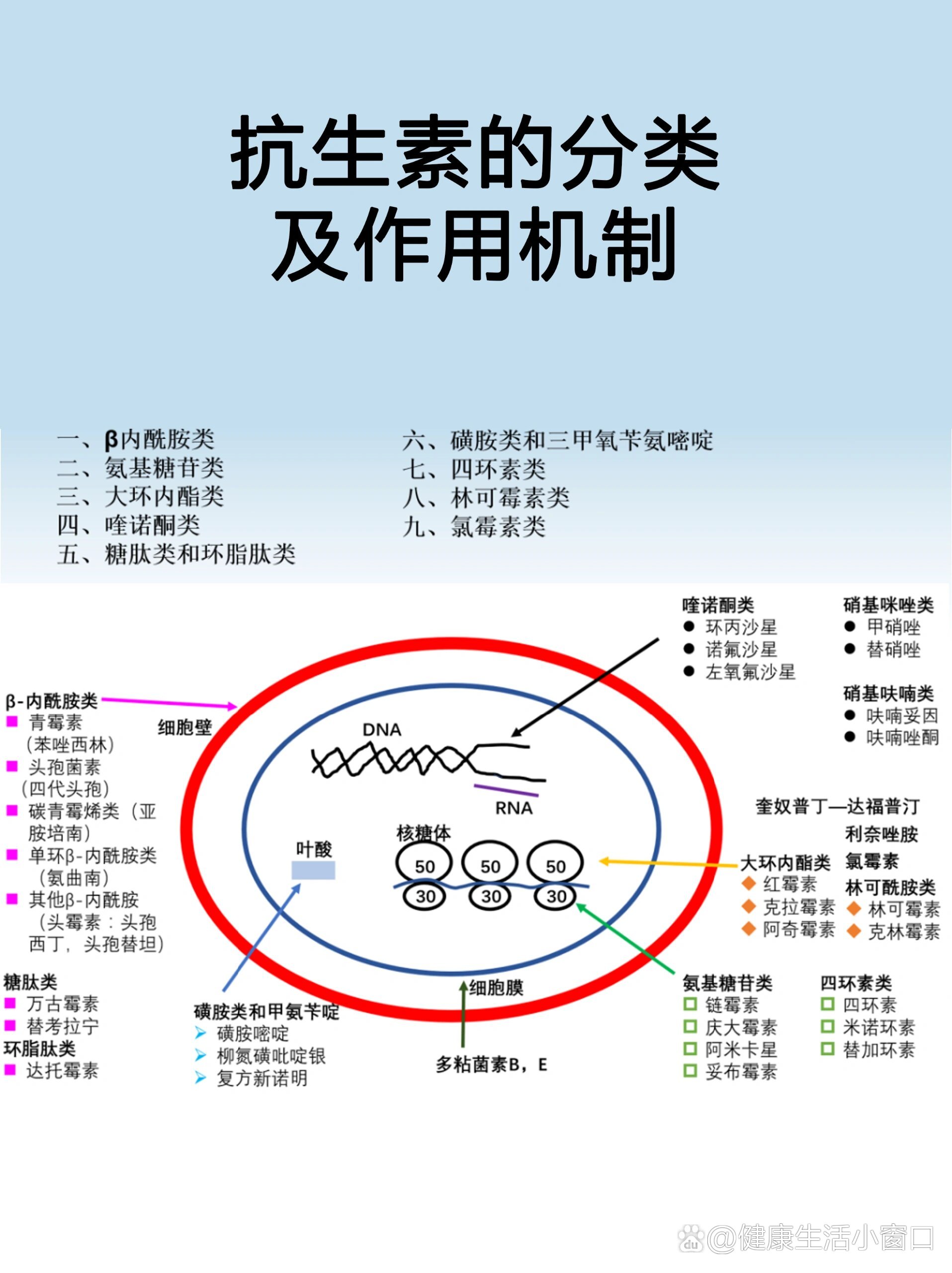 抗生素抗菌谱记忆口诀图片