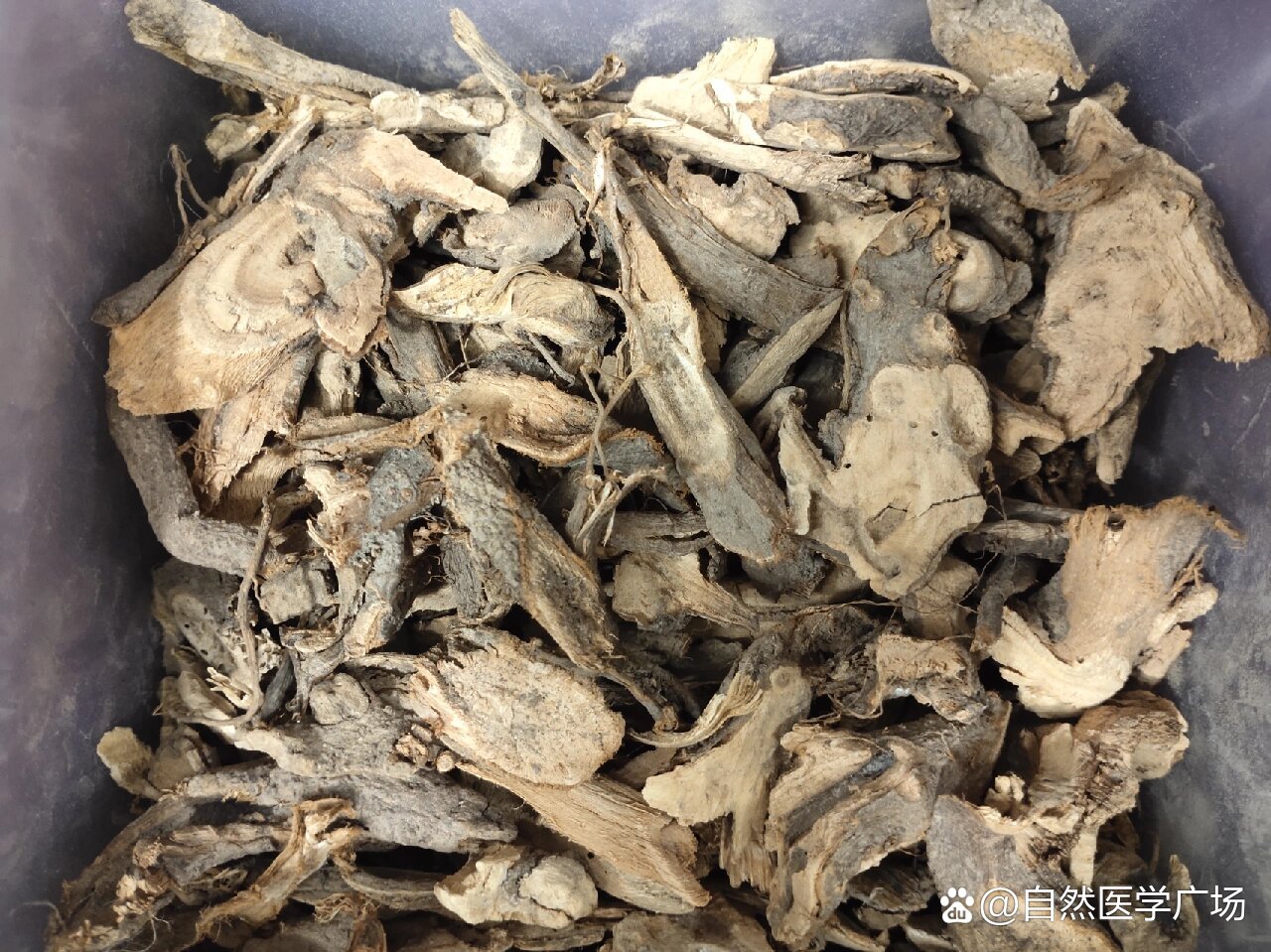  p>苎麻根 br>苎麻根,中药名.为荨麻科植物苎麻boehmeria nivea(l.