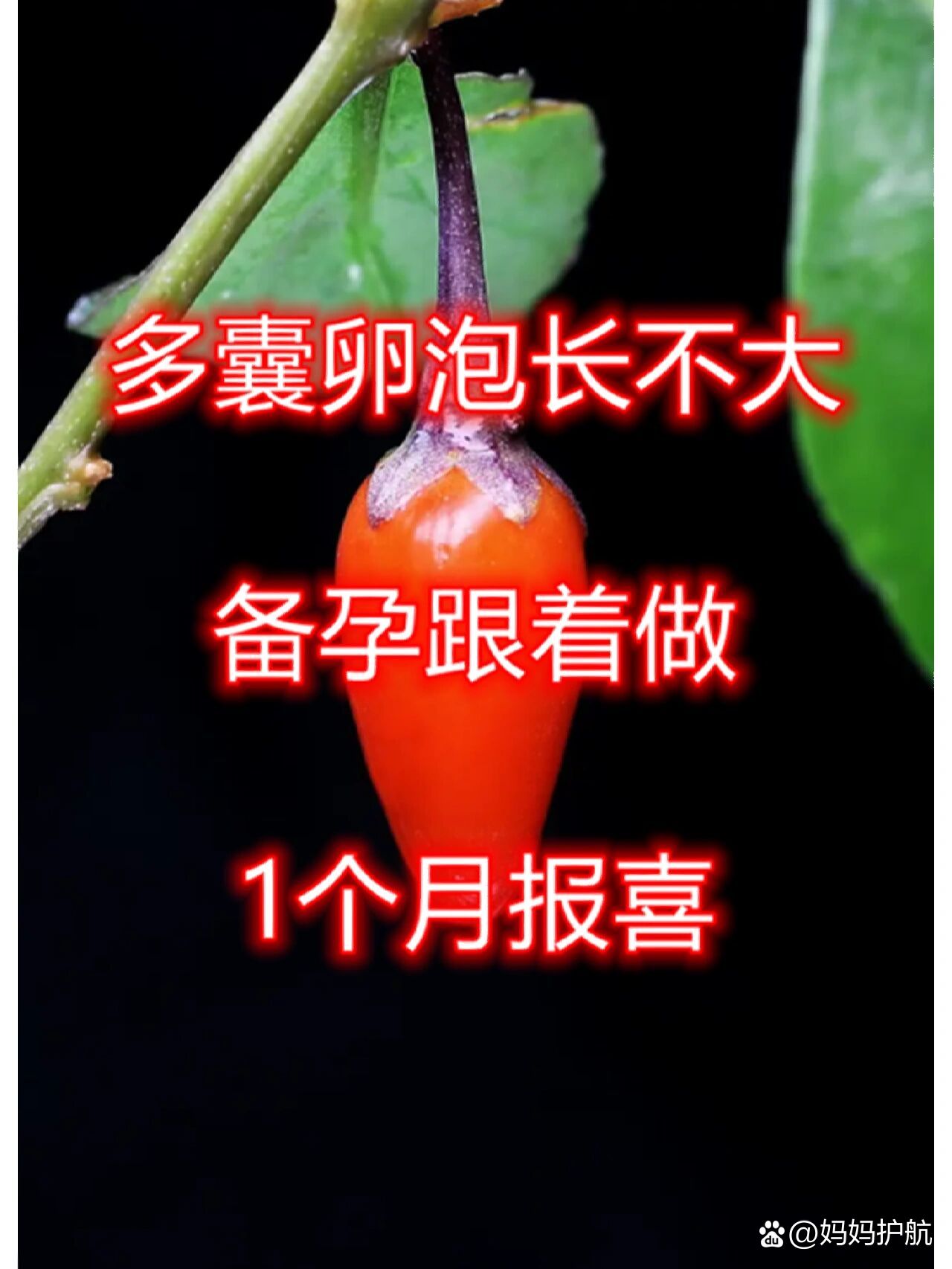 多囊卵泡0.7_多囊卵泡07cm正常吗
