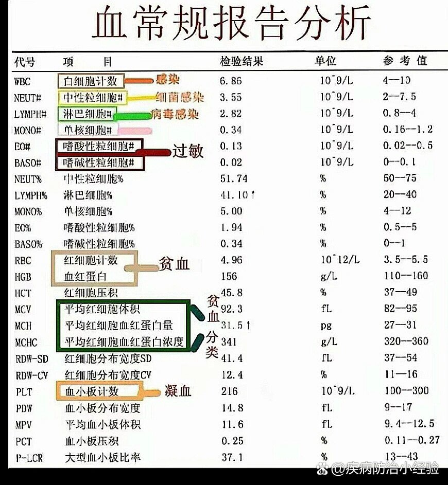 孩子血常规各项指标