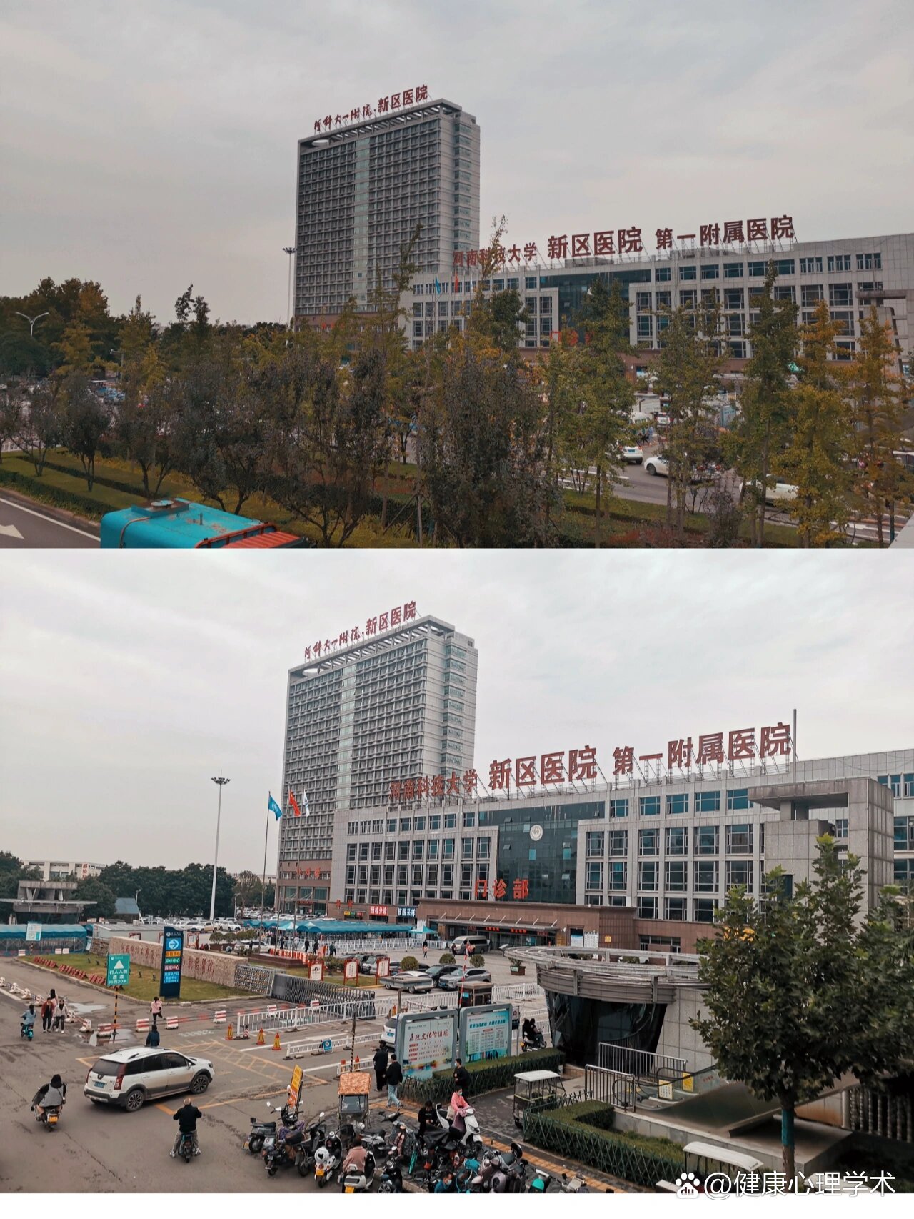 北京世纪坛医院、全程陪同黄牛专家预约挂号的简单介绍