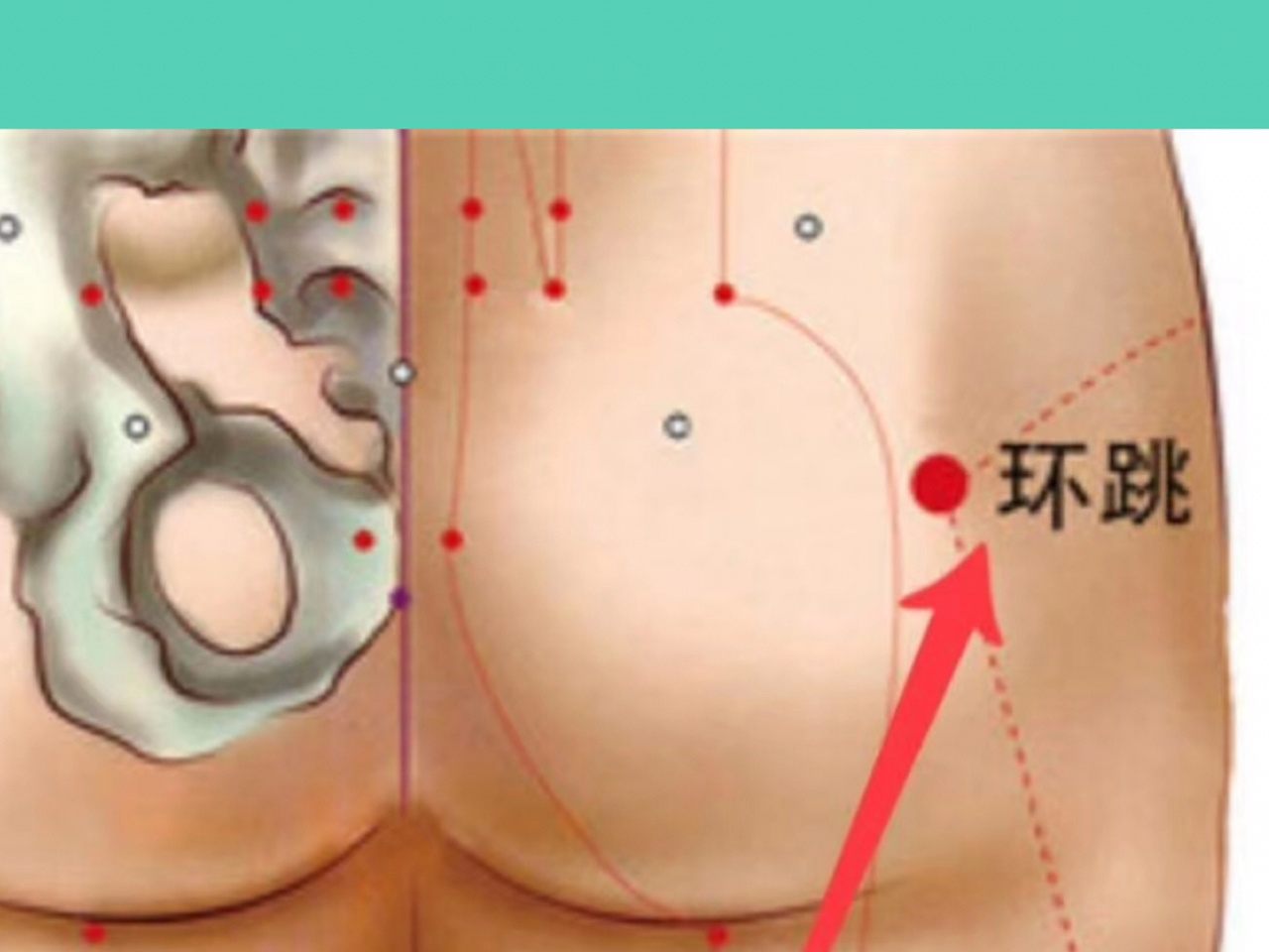 按摩环跳穴位的作用与好处
