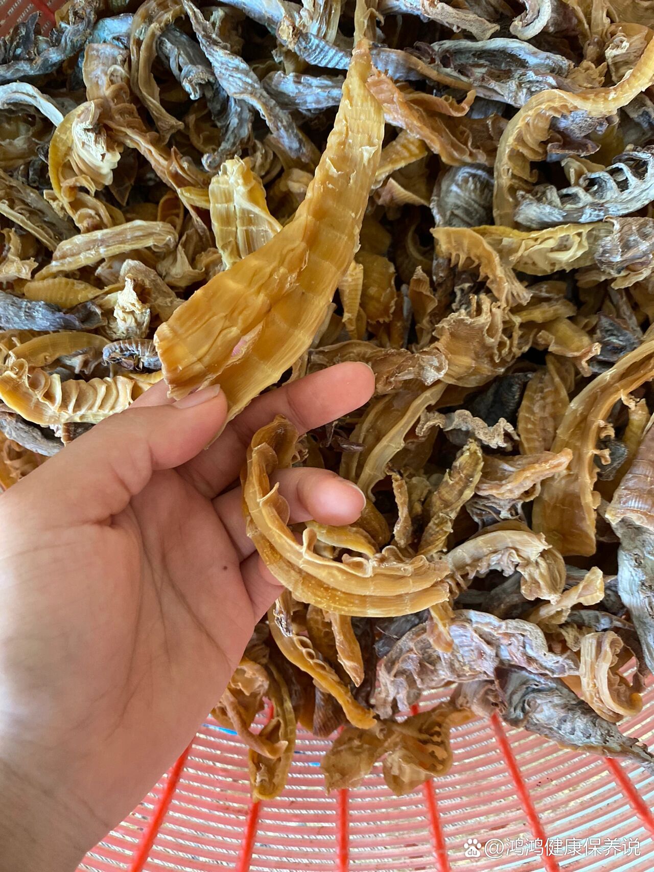 笋干可惜不能吃