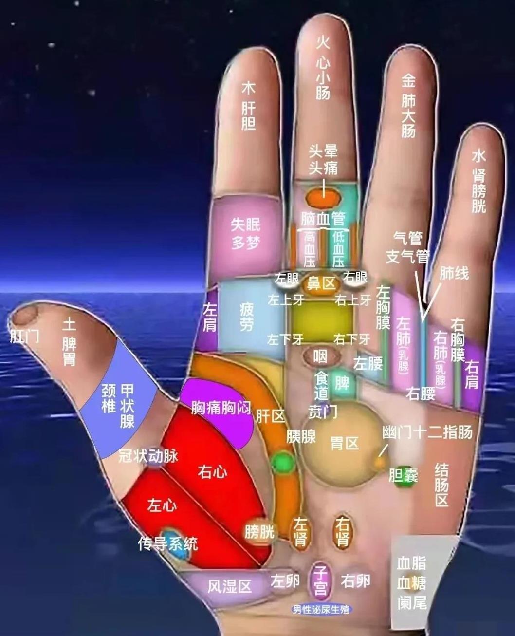 中医手诊图，按按更健康[给力][祈祷]