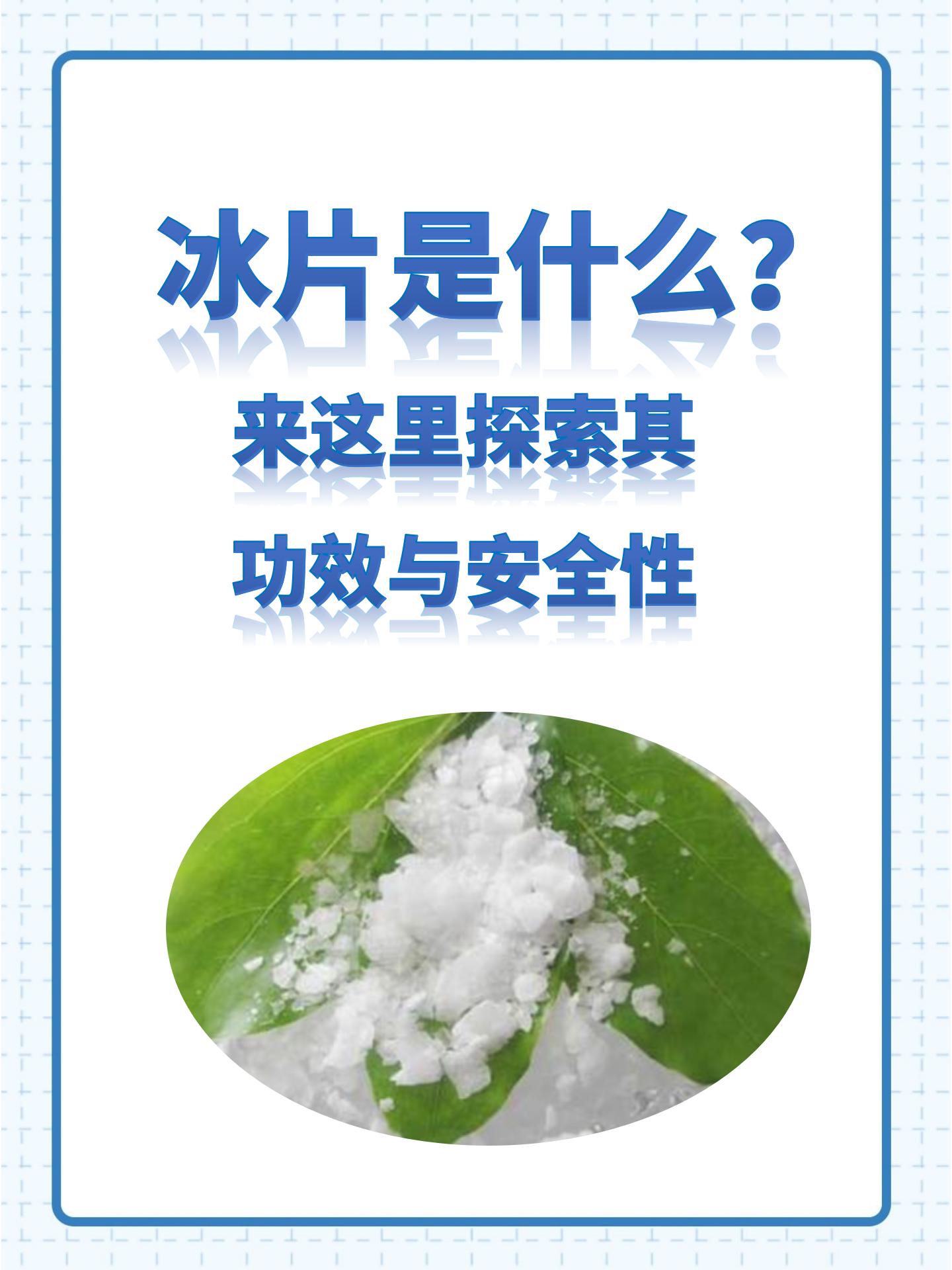 冰片是什么?来这里探索其功效与安全性