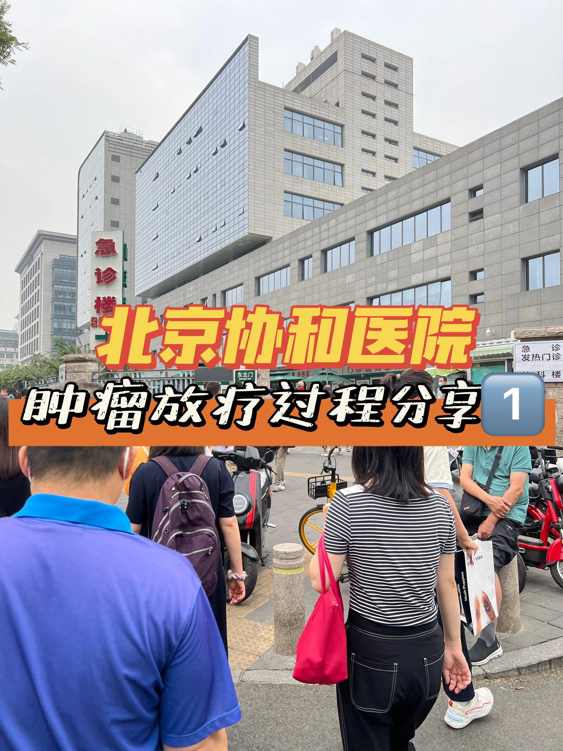 关于北京协和医院、大兴区号贩子挂号的信息