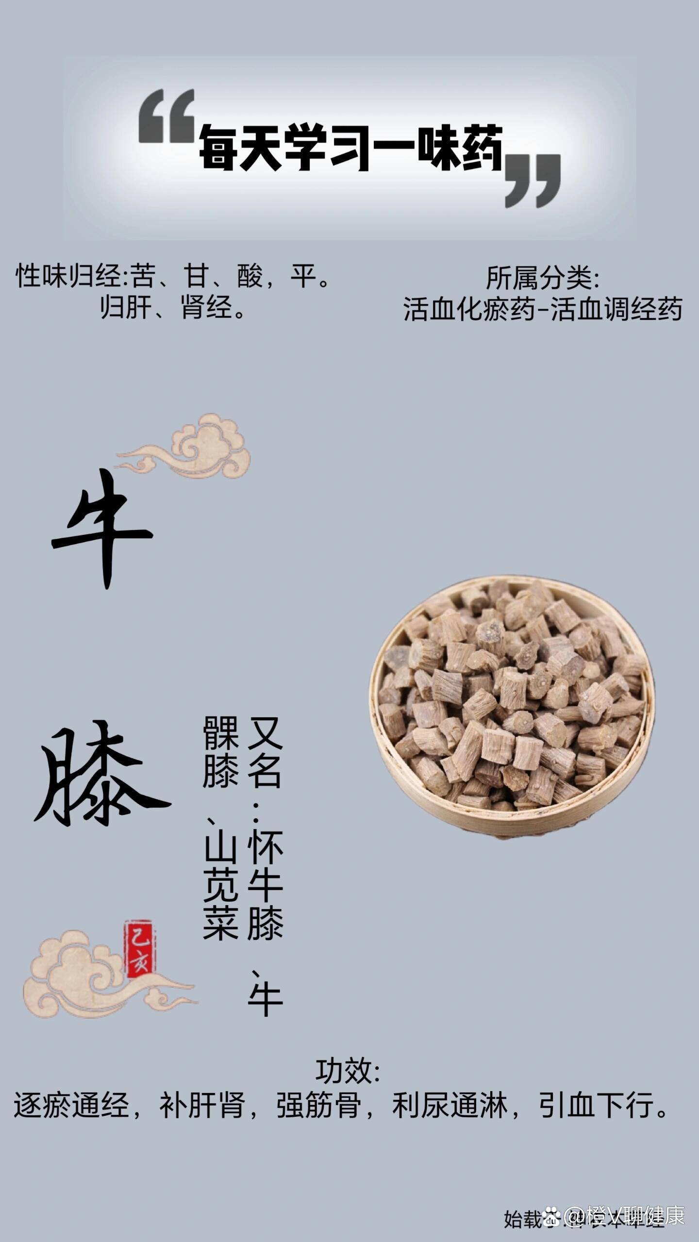 红牛膝的作用图片