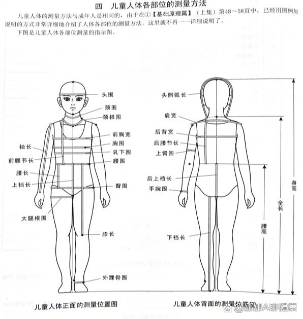 人体测量示意图图片