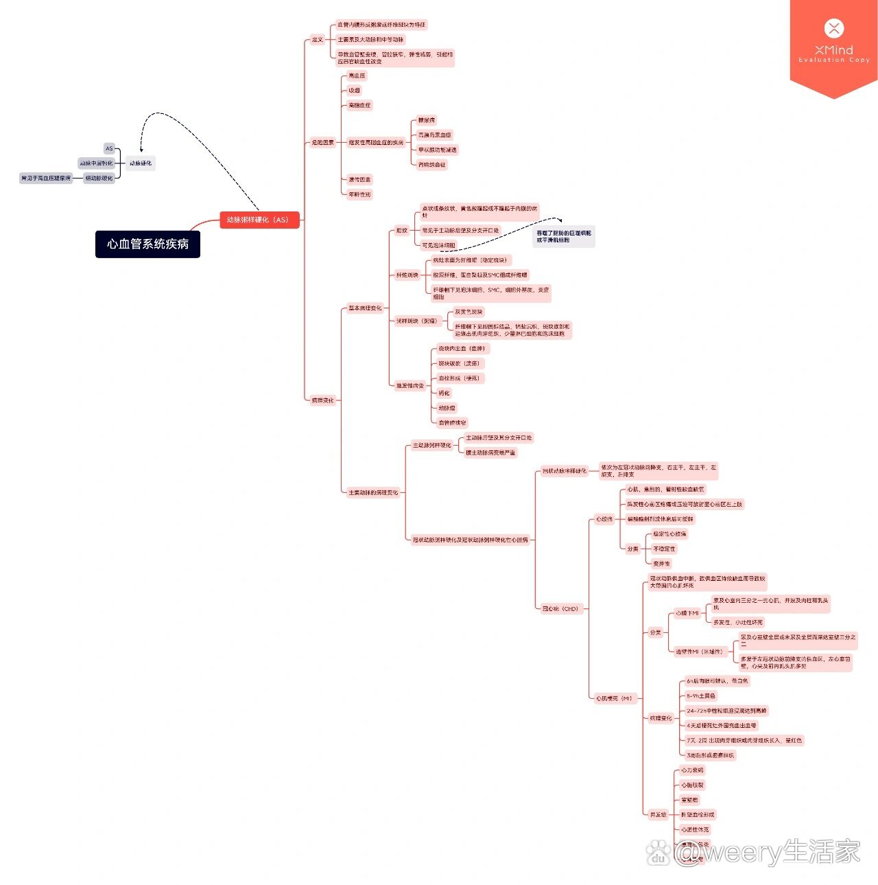 主动脉分支思维导图图片