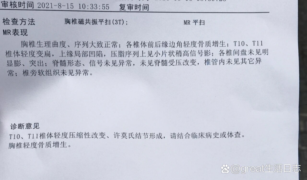 mr检查胸椎