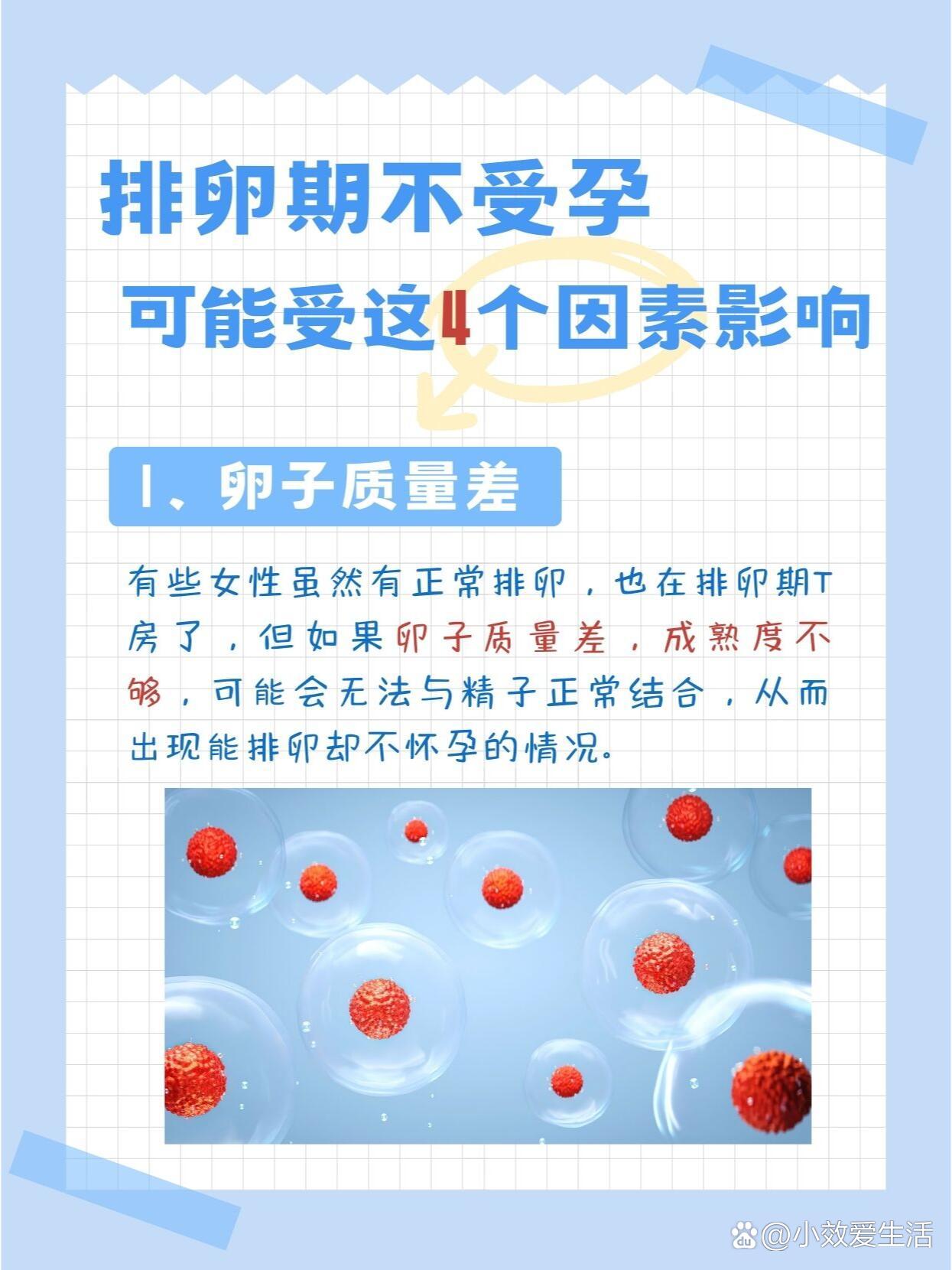 排卵期不受孕,可能受这4方面因素影响哦