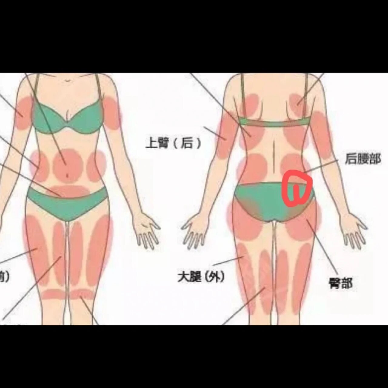 屁股上面腰部位置