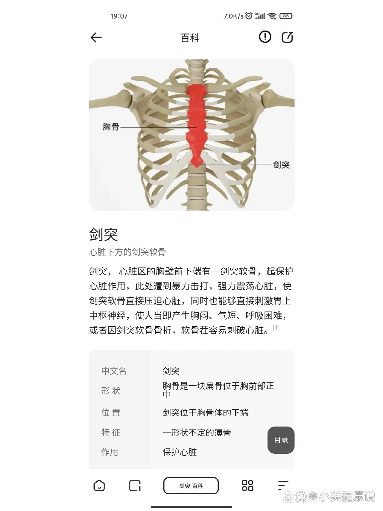 剑突硬块图片