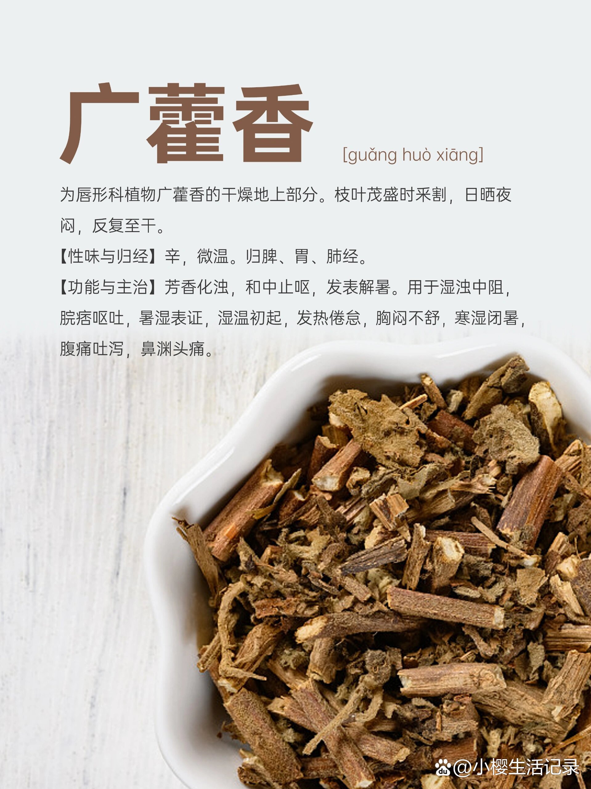 霍香草药的功效与作用图片