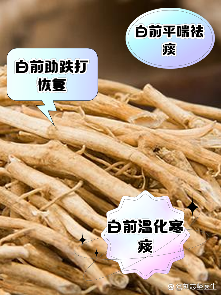 白前的功效