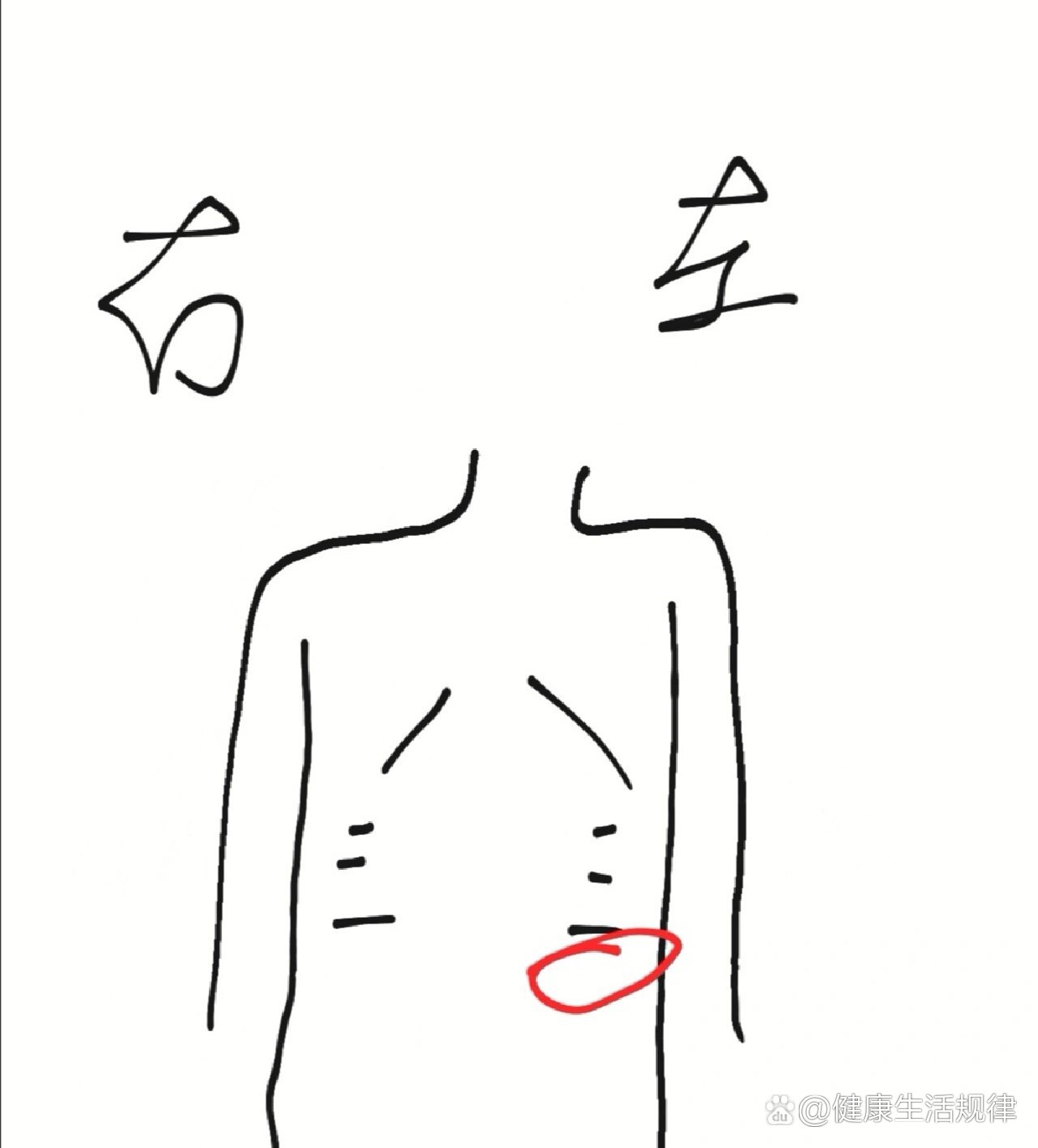 左侧肋骨下方疼