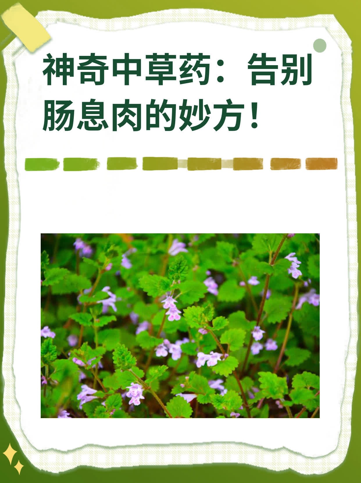 神奇中草药:告别肠息肉的妙方