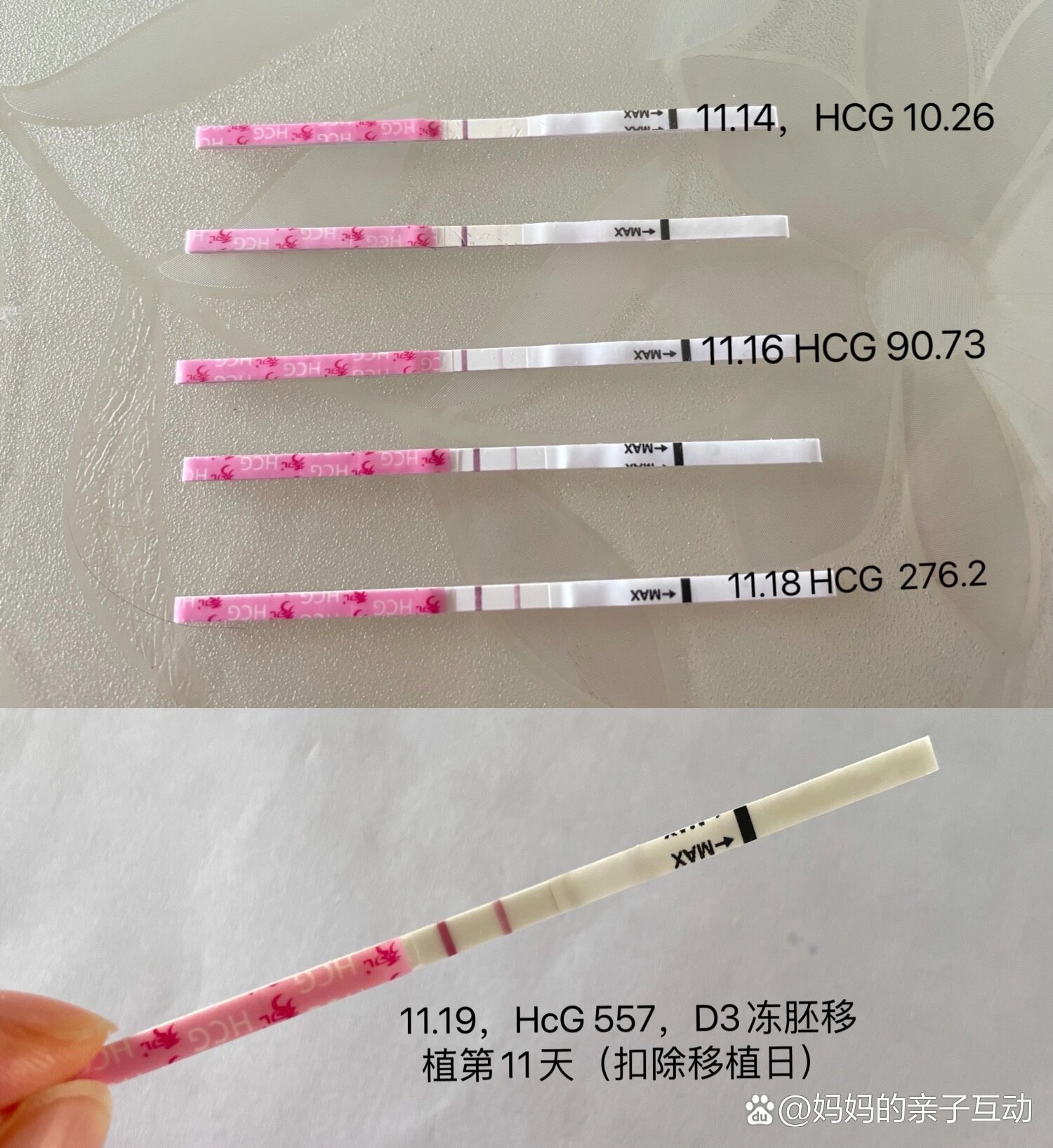 移植冻胚14天hcg75成功的简单介绍
