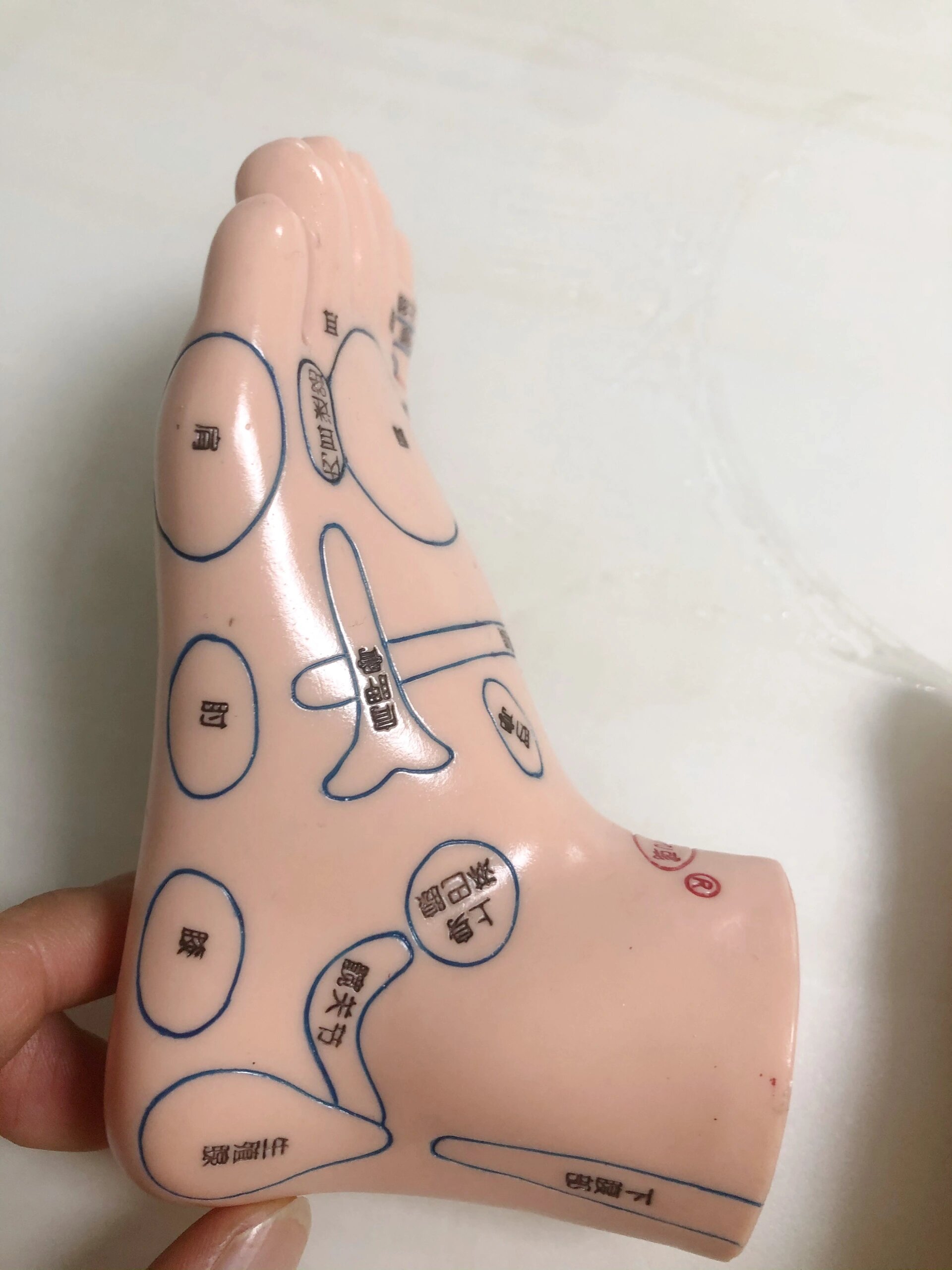 足推反射区的具体位置