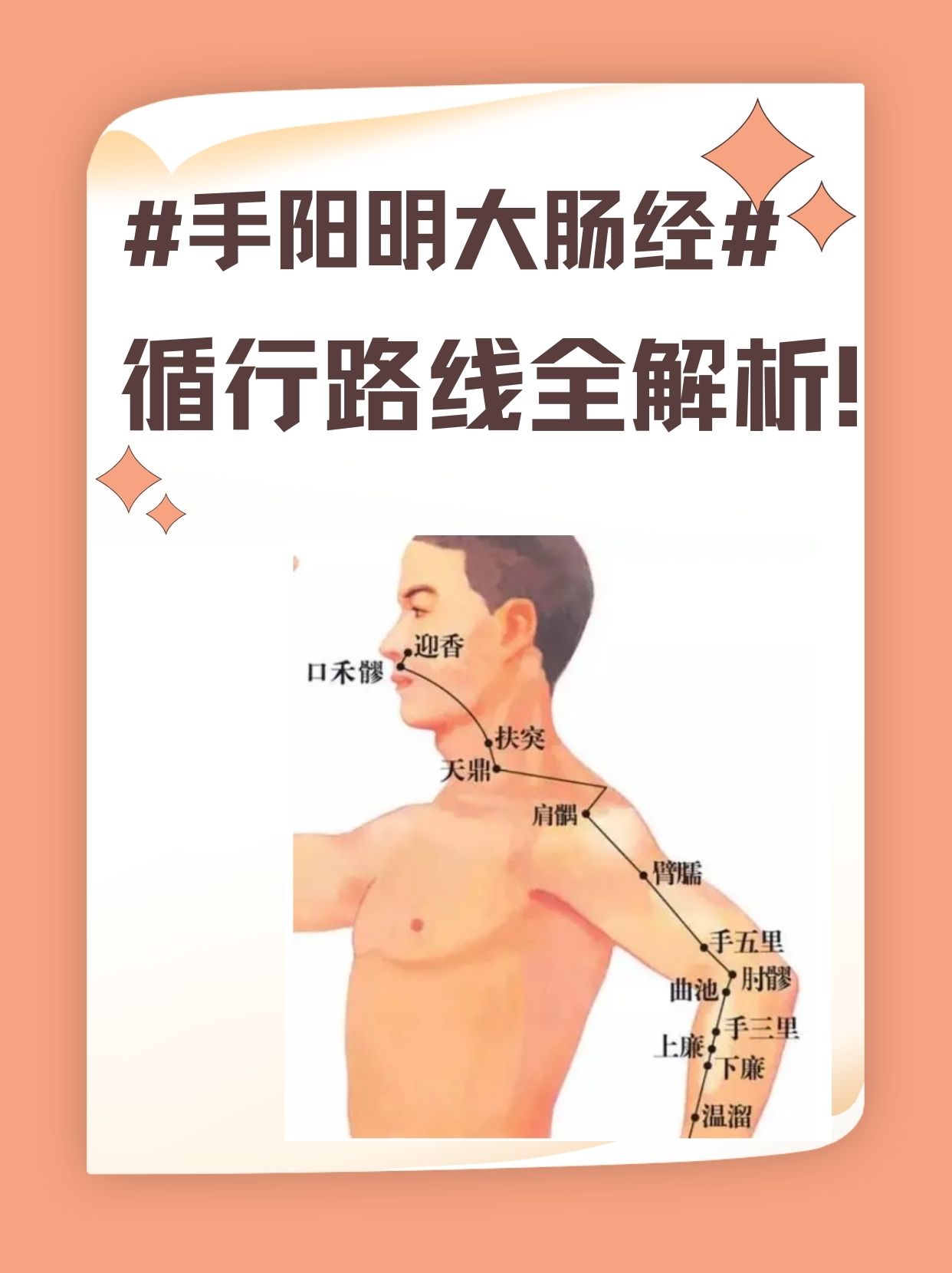 手阳明大肠经循行路线全解析!
