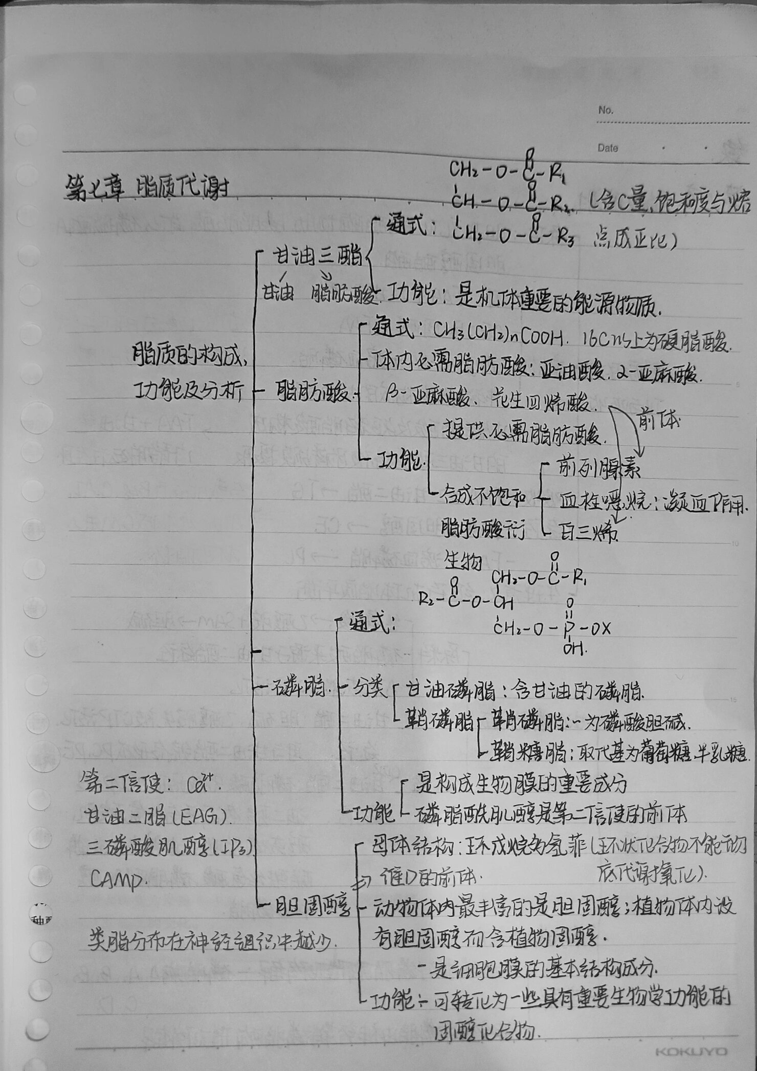 生化 脂质代谢思维导图来啦~脂质代谢太太太太难记啦,画了思维
