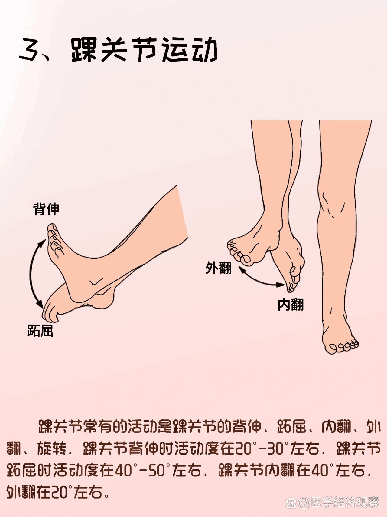 踝关节|崴脚只存在零次与无数次的区别